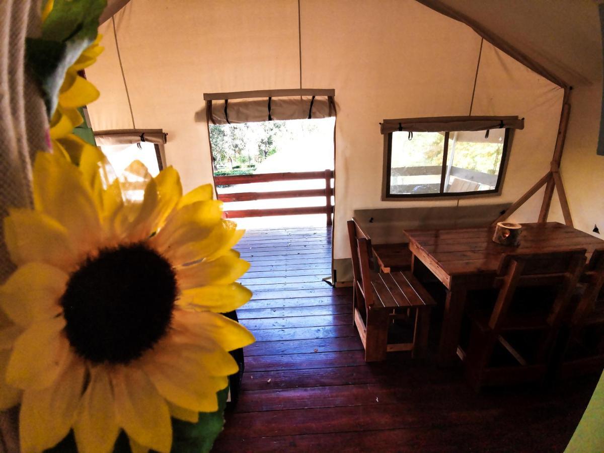 Sunflower Kompleks wypoczynkowy Mareda